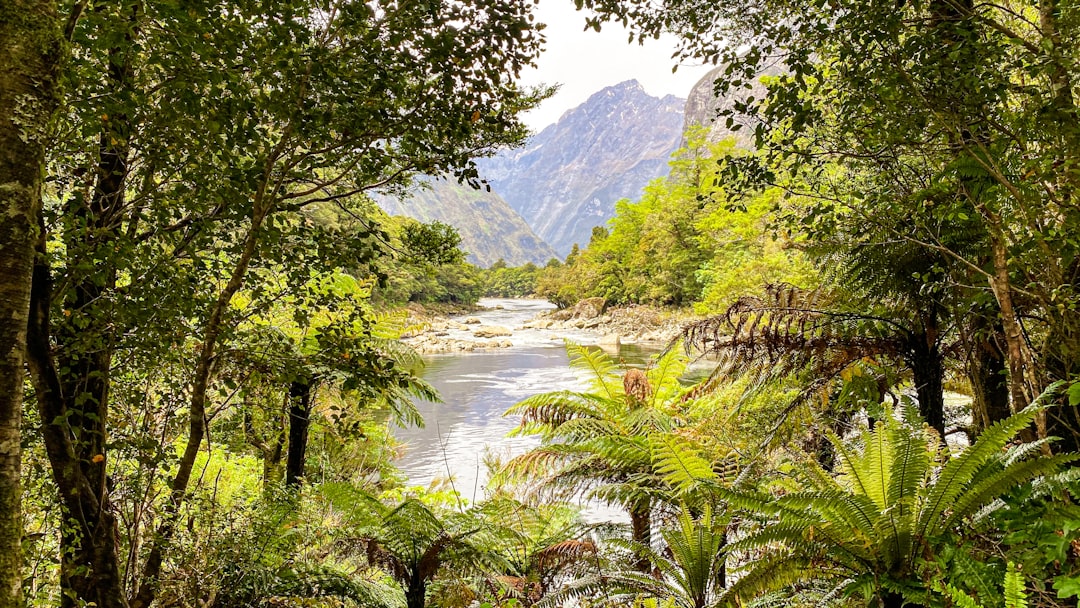 Milford Track : Le Sentier des Fjords en Nouvelle-Zélande - Milford Track | Secret World Trip Planner
