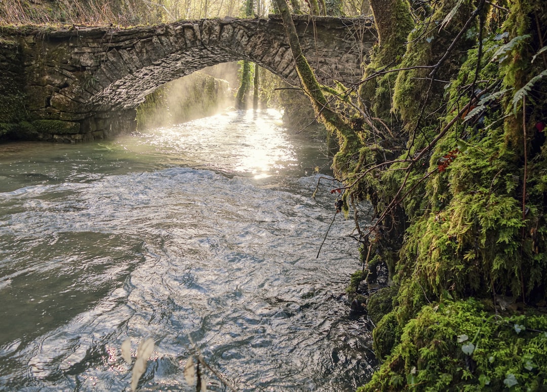 Pont Vieux: O Ponte Escondido de Albi - Pont Vieux | Secret World Trip Planner