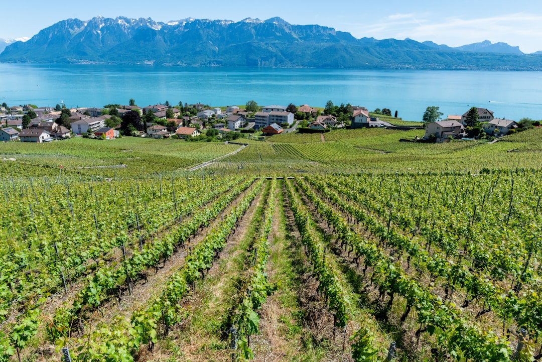 Château d'Ouchy : Un trésor caché en Suisse - Pl. du Port | Secret World Trip Planner