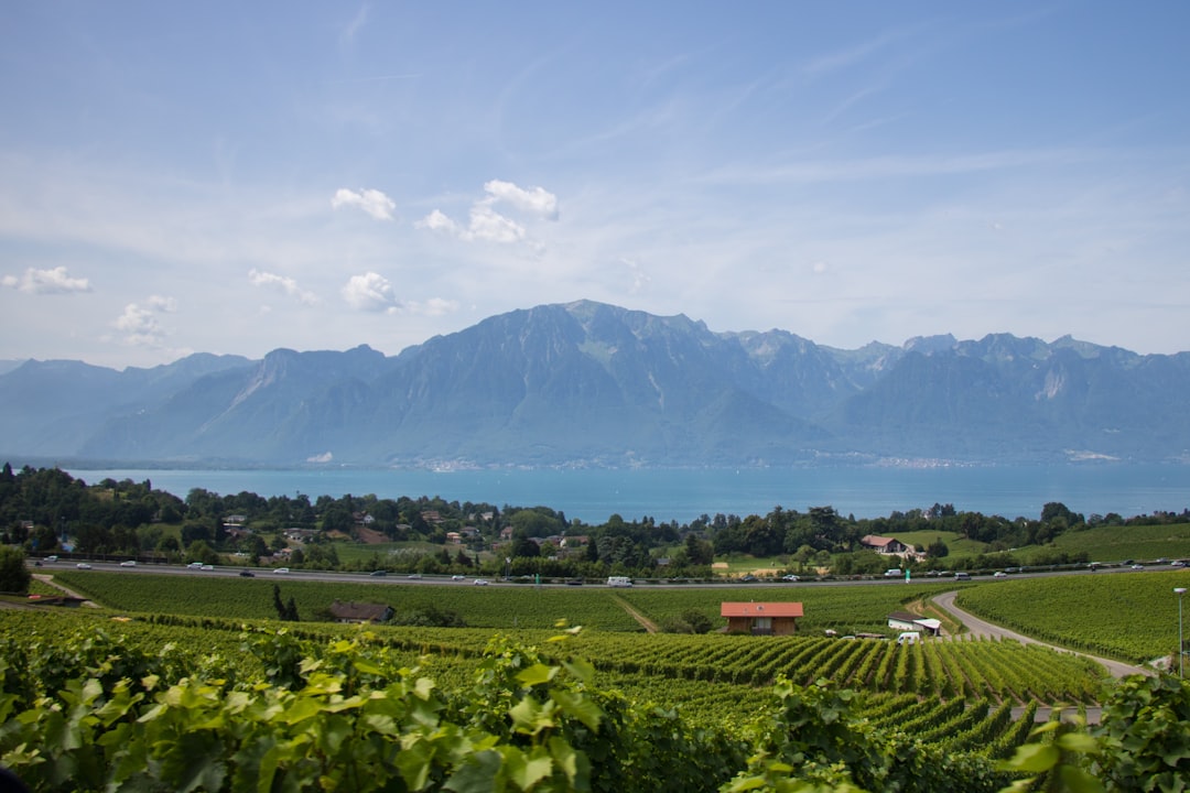 Château d'Ouchy: Una joya oculta en Suiza - Pl. du Port | Secret World Trip Planner