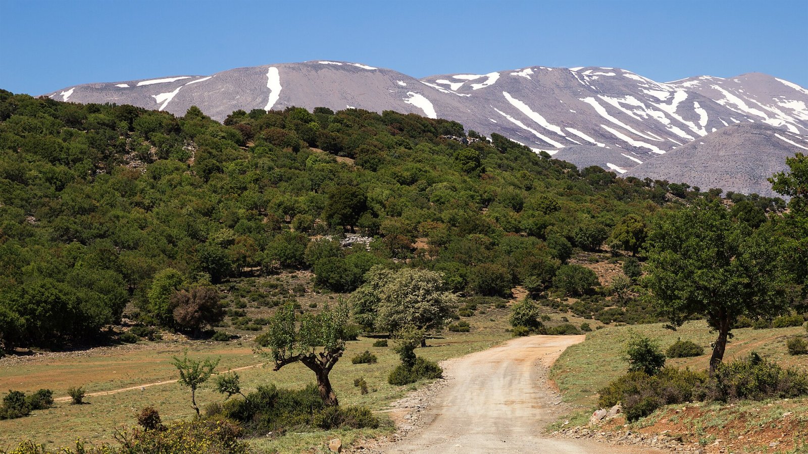Explorando el Parque Natural de Psiloritis en Grecia — Kouloukonas