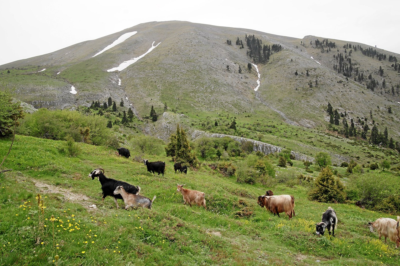 Ossa: Ein Naturjuwel im Herzen Griechenlands - QMWP+73 Lakeria | Secret World Trip Planner