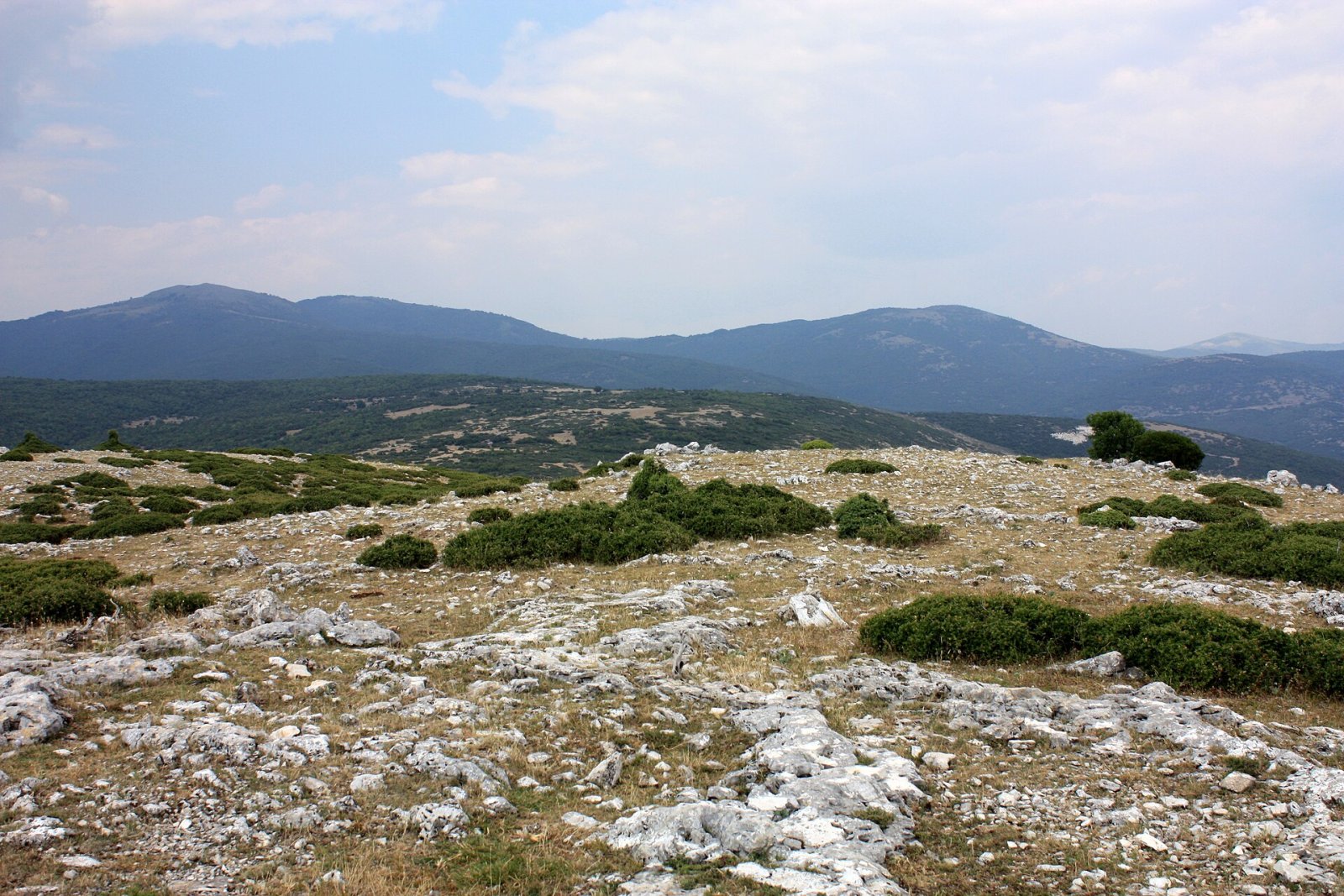 Τσαλ Νταγを発見:ギリシャの自然の宝石 - 4FQR+V6 Nikiforos | Secret World Trip Planner