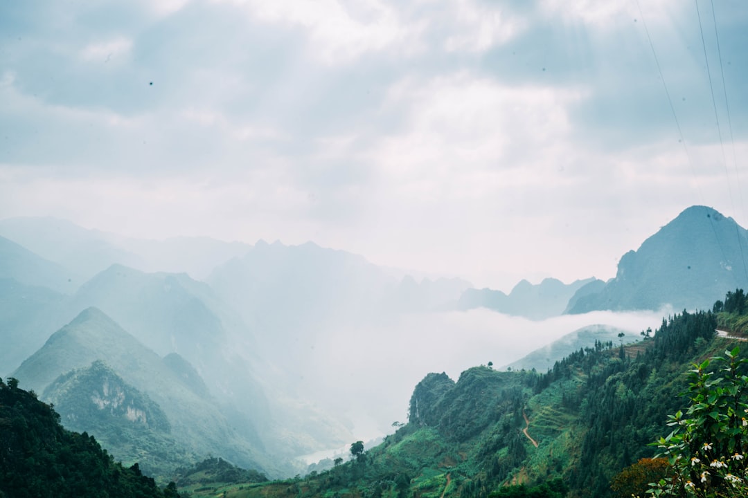 Scopri la Montagna di Son Tra: Un Paradiso Naturale in Vietnam - Son Tra | Secret World Trip Planner