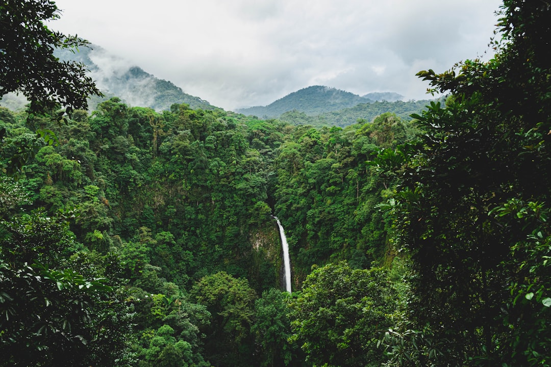 Скрытые водопады Фортуны: оазис в зелени - Provincia di Alajuela | Secret World Trip Planner