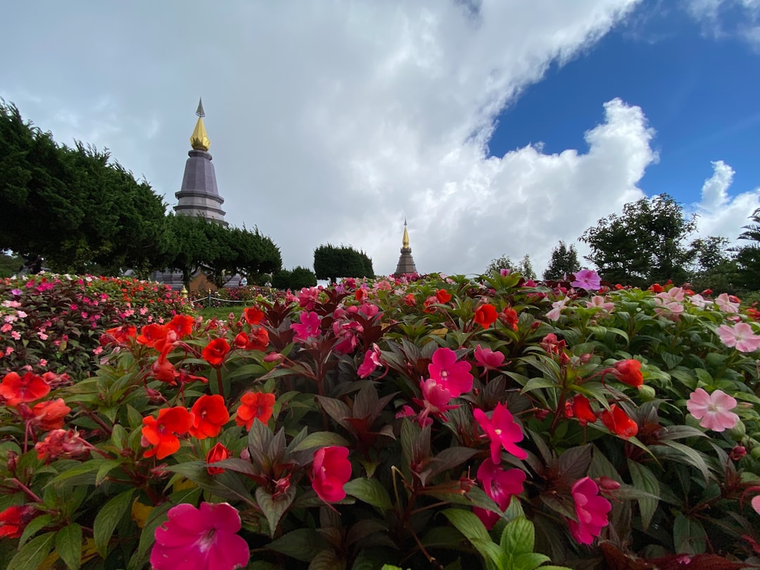 Doi Inthanon: The Highest Peak in Thailand to Explore - Amphoe Mae Chaem | Secret World Trip Planner