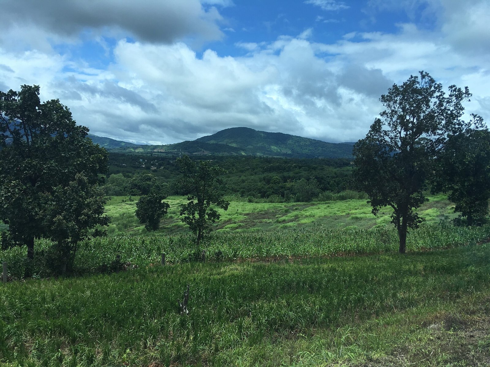 Descubra Phu Ruea: um canto de natureza intocada na Tailândia - Phu Ruea District | Secret World Trip Planner