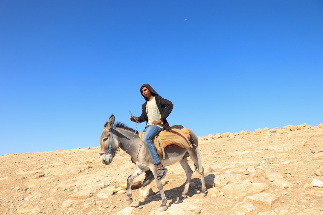 Termas en el Desierto de Judea: Una Experiencia Única | Secret World Trip Planner