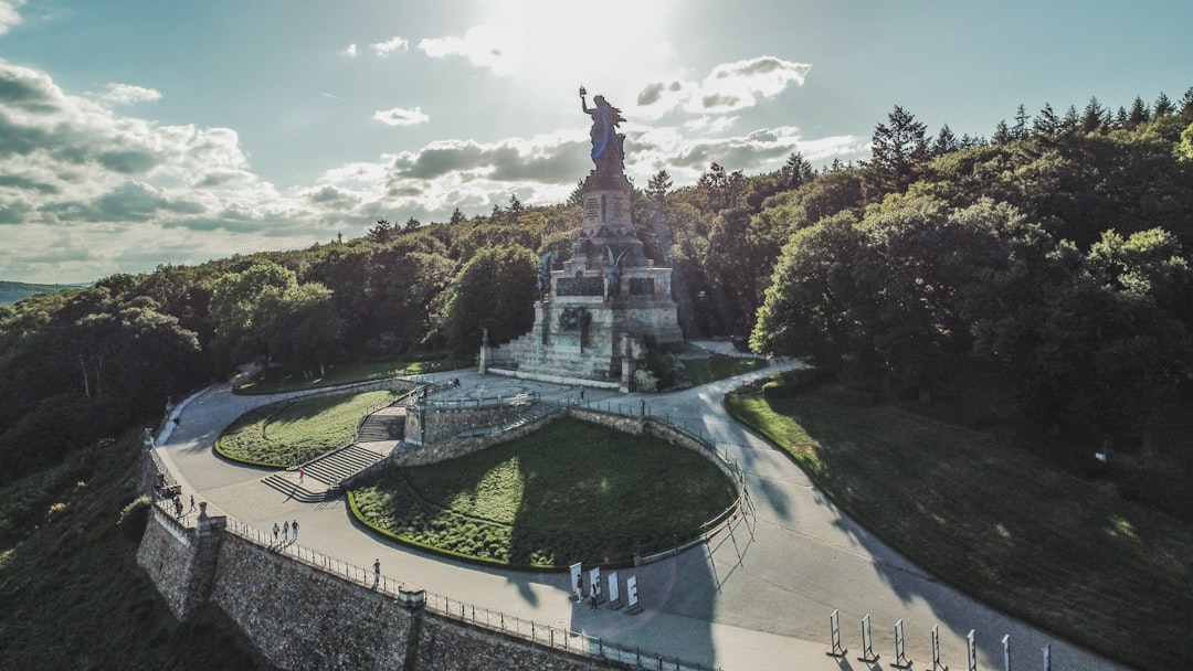 Scoprire i Riesling Rari di Rüdesheimer Berg Drachenstein - Am Niederwald 3 | Secret World Trip Planner