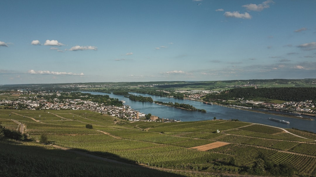 Discover Rare Rieslings from Rüdesheimer Berg Drachenstein - Am Niederwald 3 | Secret World Trip Planner