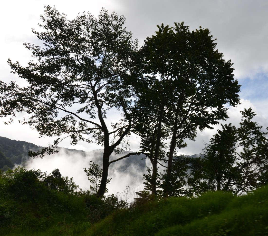 Scopri il Cerro San José: un gioiello naturale in Costa Rica - Abangares | Secret World Trip Planner