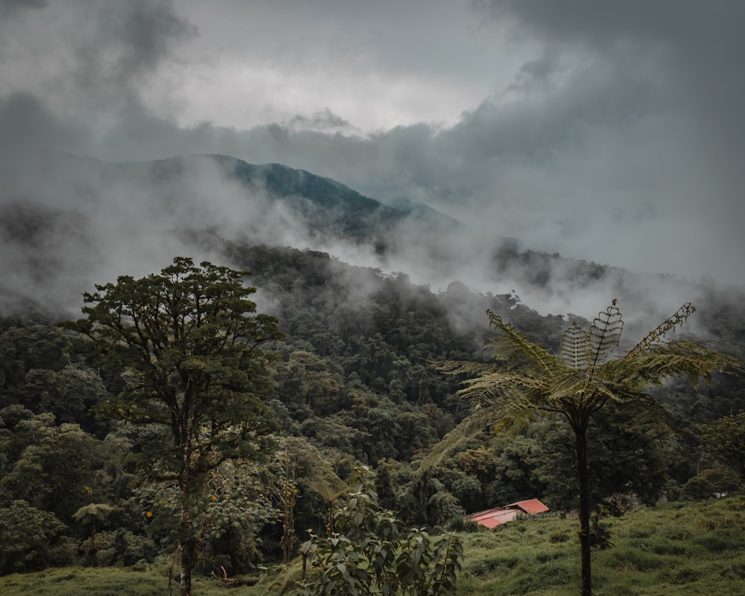 Descubre el Cerro Cedral: una joya natural de Costa Rica - San Antonio | Secret World Trip Planner