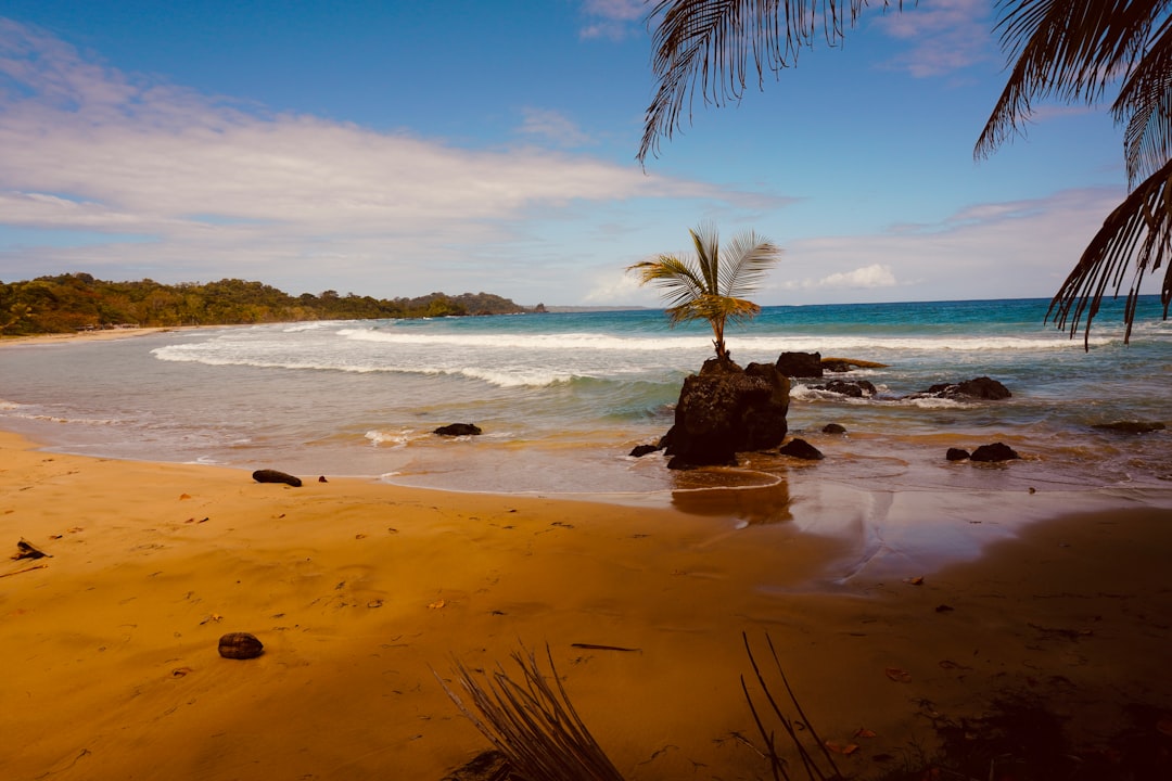 Entdecken Sie Playa Venao: das natürliche Juwel Panamas - Las Escobas del Venado | Secret World Trip Planner