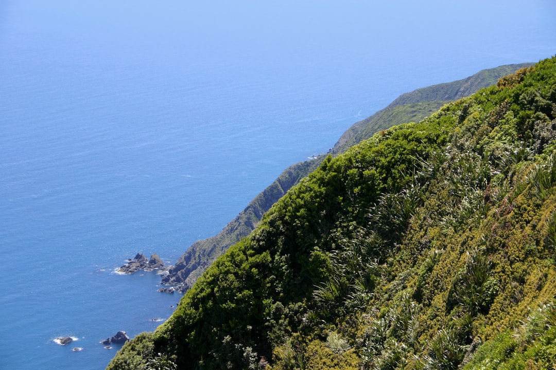 Magische Pfade der Kapiti Coast entdecken - Kapiti | Secret World Trip Planner