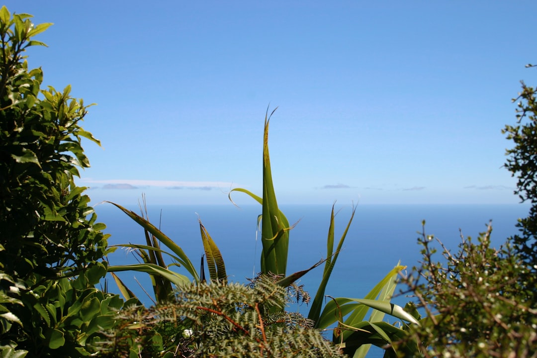 Caminhos Mágicos da Costa de Kapiti - Kapiti | Secret World Trip Planner
