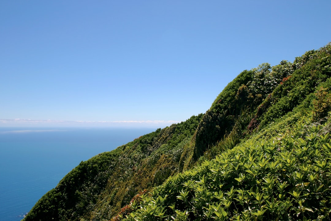 Caminhos Mágicos da Costa de Kapiti - Kapiti | Secret World Trip Planner