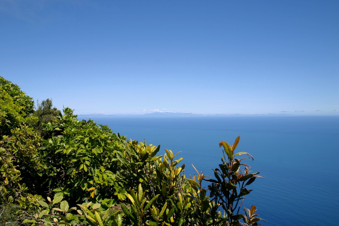 卡皮提海岸的魔幻小径 - Kapiti | Secret World Trip Planner