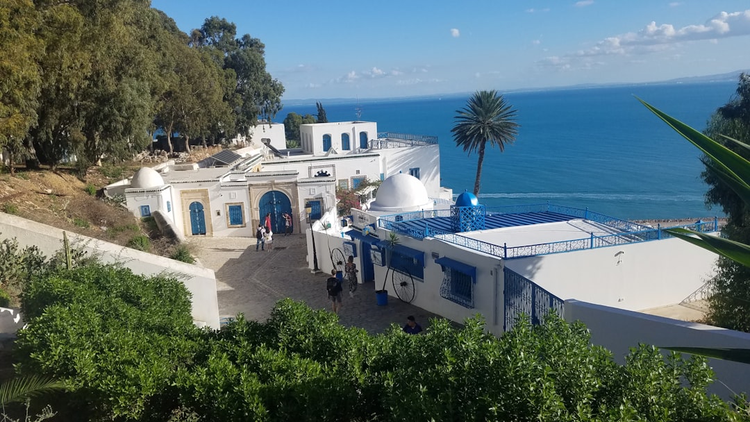Sidi Bou Said: The Markets of a Enchanted Village - Sidi Bou Said | Secret World Trip Planner