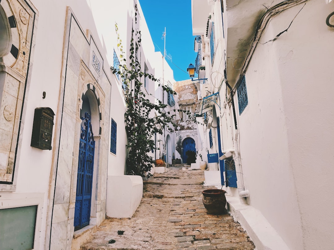 Sidi Bou Said: Los Mercados de un Pueblo Encantado - Sidi Bou Said | Secret World Trip Planner
