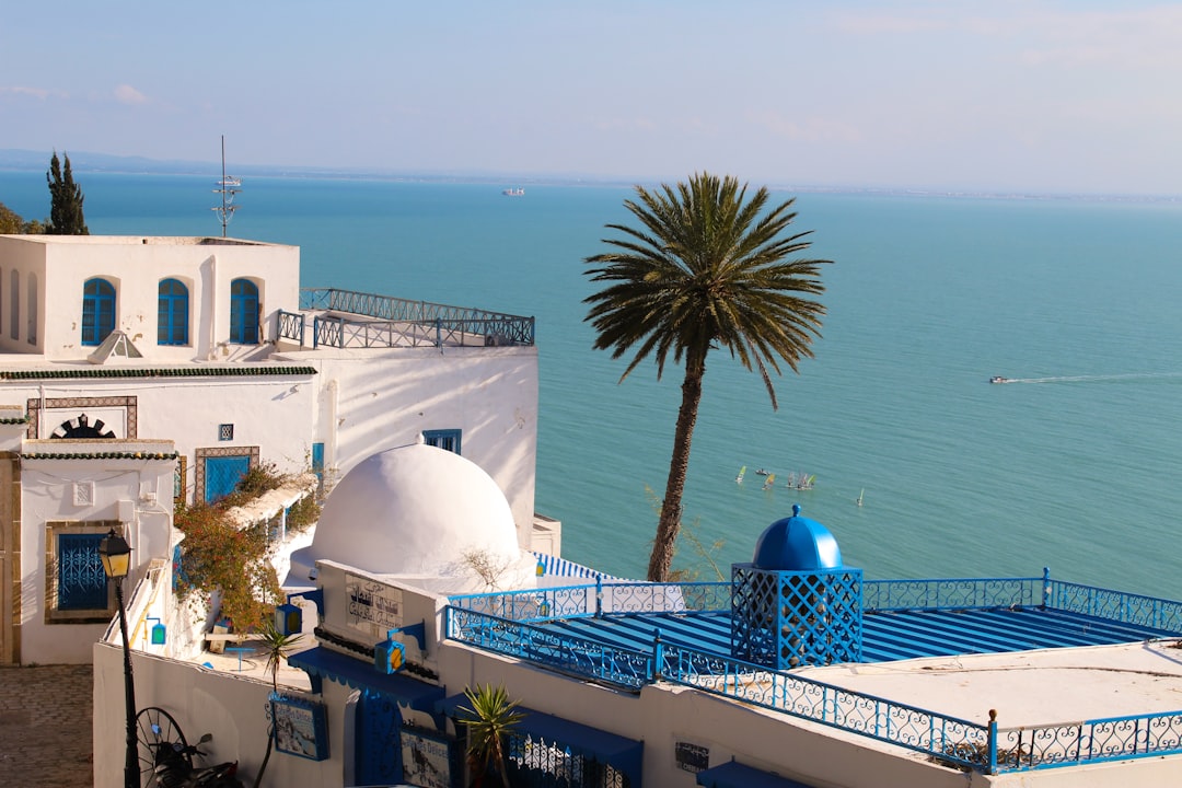 시디 부 사이드: 매혹적인 마을의 시장들 - Sidi Bou Said | Secret World Trip Planner
