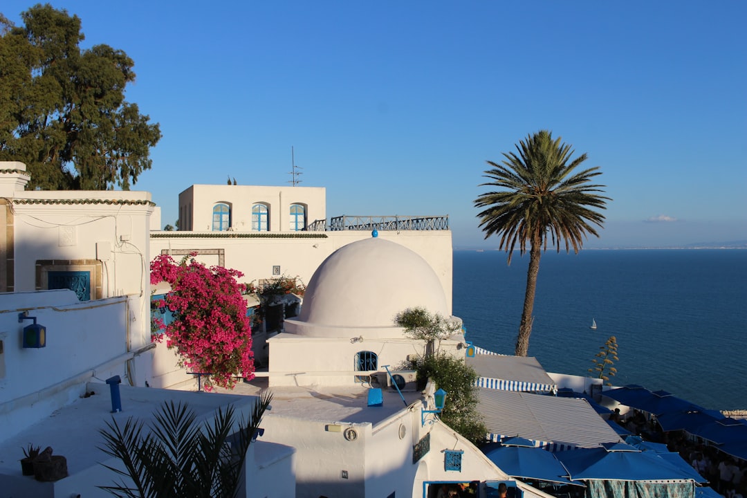 シディ・ブー・サイド:魅惑の村の市場 - Sidi Bou Said | Secret World Trip Planner