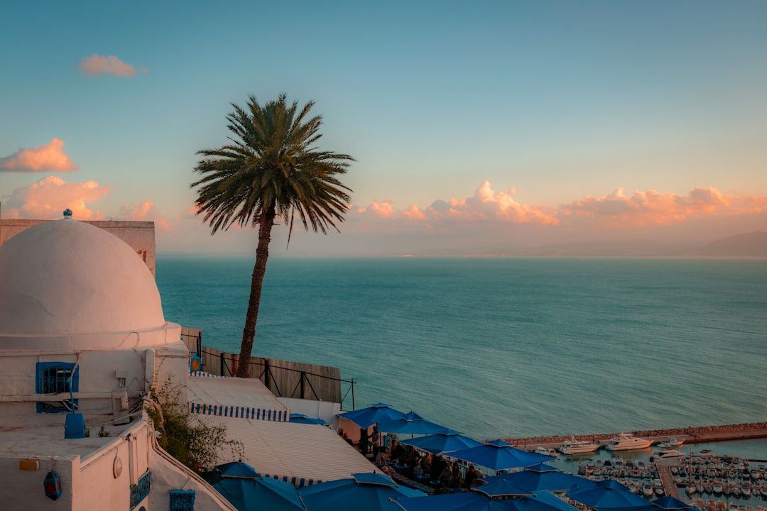 シディ・ブー・サイド:魅惑の村の市場 - Sidi Bou Said | Secret World Trip Planner
