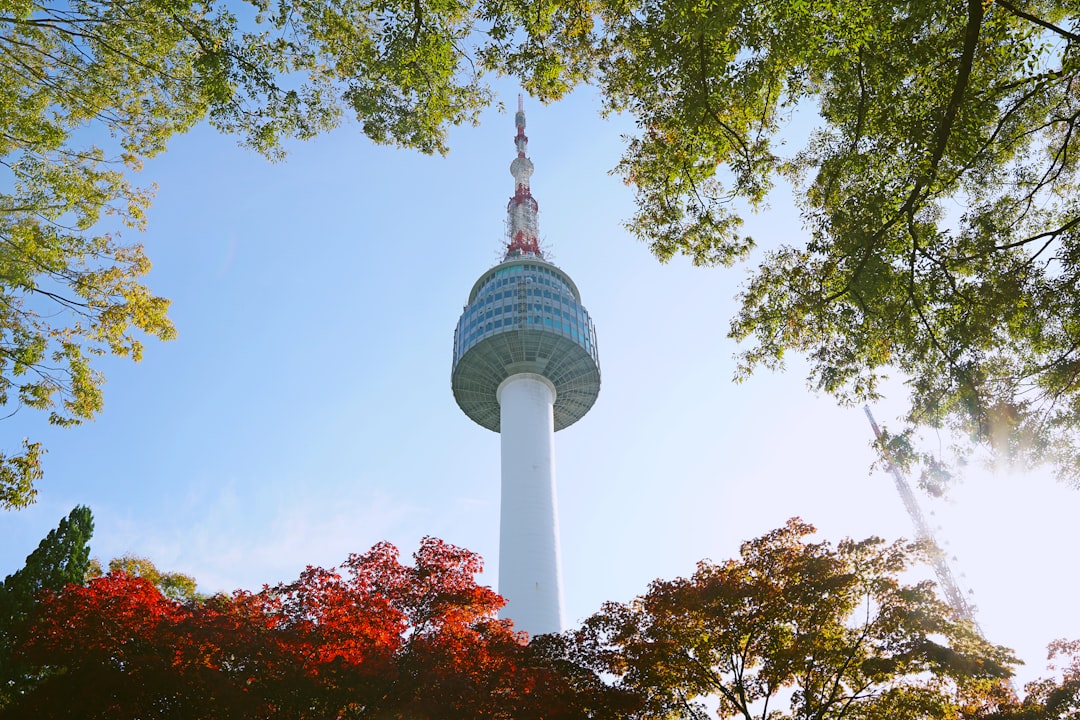 Vistas impresionantes desde la Torre de Seúl - Yongsan District | Secret World Trip Planner
