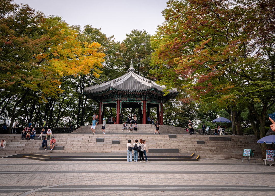 Vistas impresionantes desde la Torre de Seúl - Yongsan District | Secret World Trip Planner