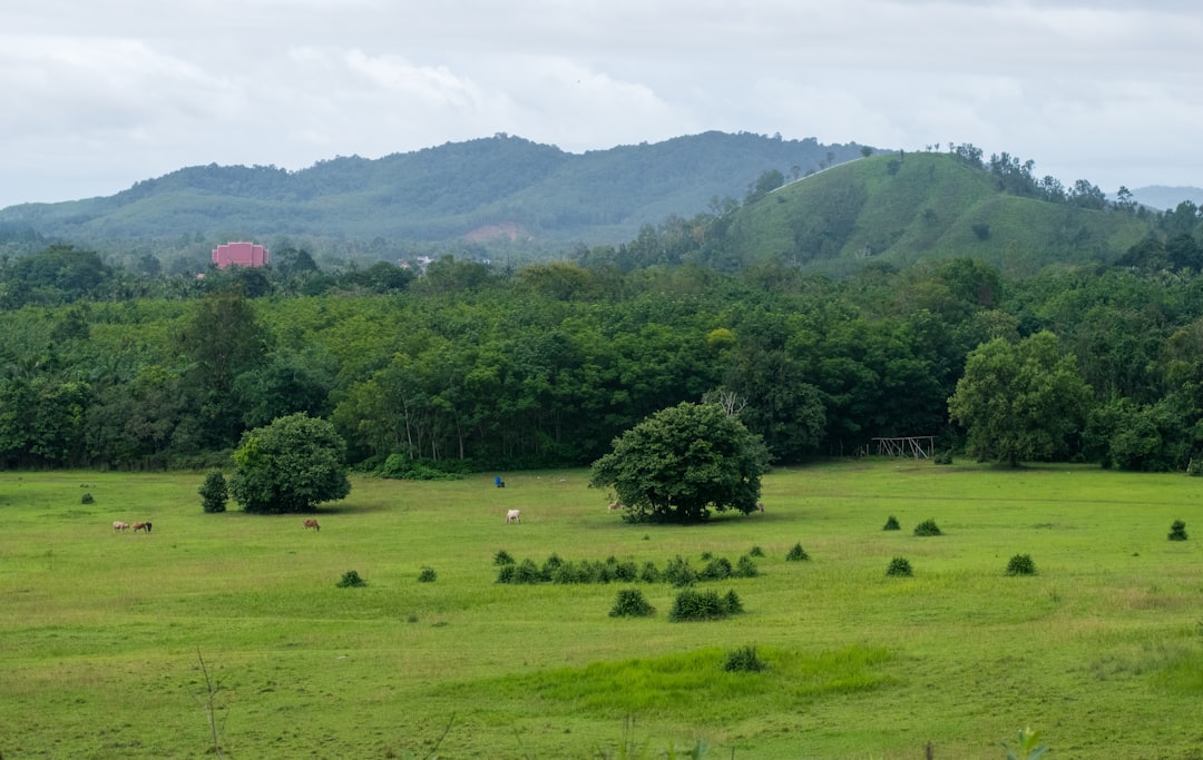 Cascatas Secretas no Parque Nacional Khlong Phanom - Amphoe Phanom | Secret World Trip Planner