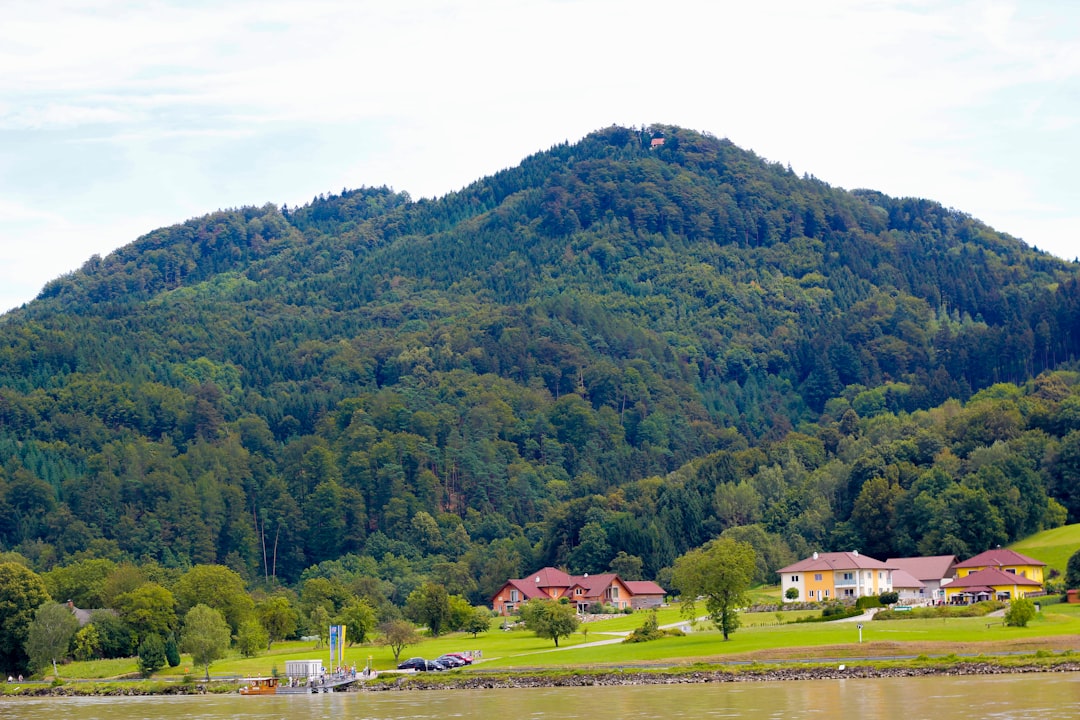 Discover Schönberg: Hidden Views of the Black Forest - 94513 Schönberg | Secret World Trip Planner