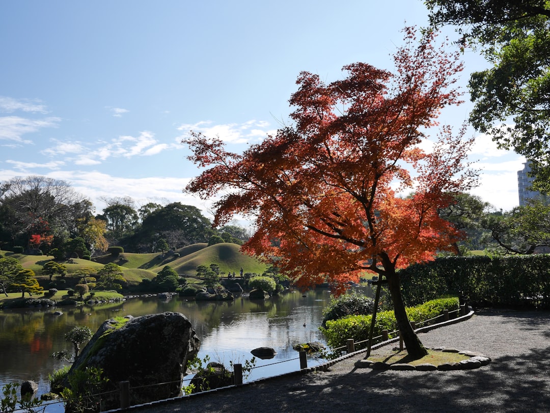 水前寺成趣园:宁静的秘密花园 - Kumamoto | Secret World Trip Planner