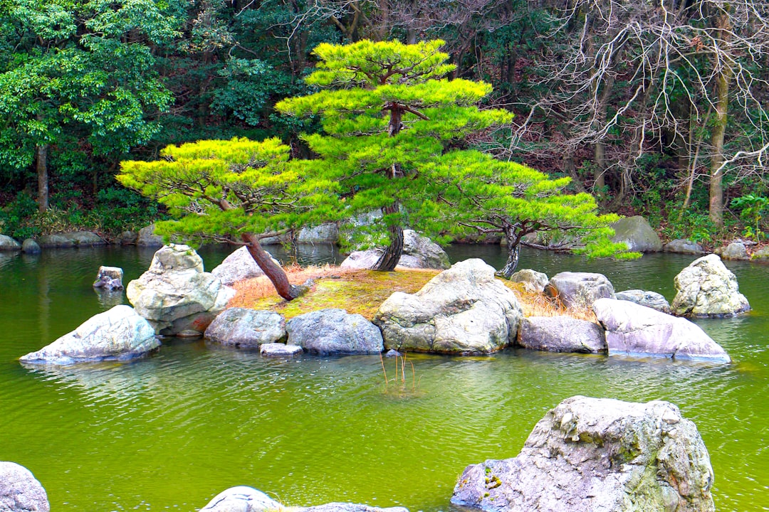 水前寺成趣园:宁静的秘密花园 - Kumamoto | Secret World Trip Planner