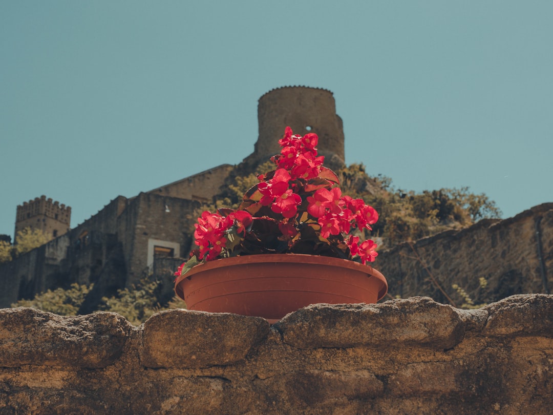 Castelo Medieval de Roccascalegna: Uma Viagem no Tempo - Piazza Umberto I | Secret World Trip Planner