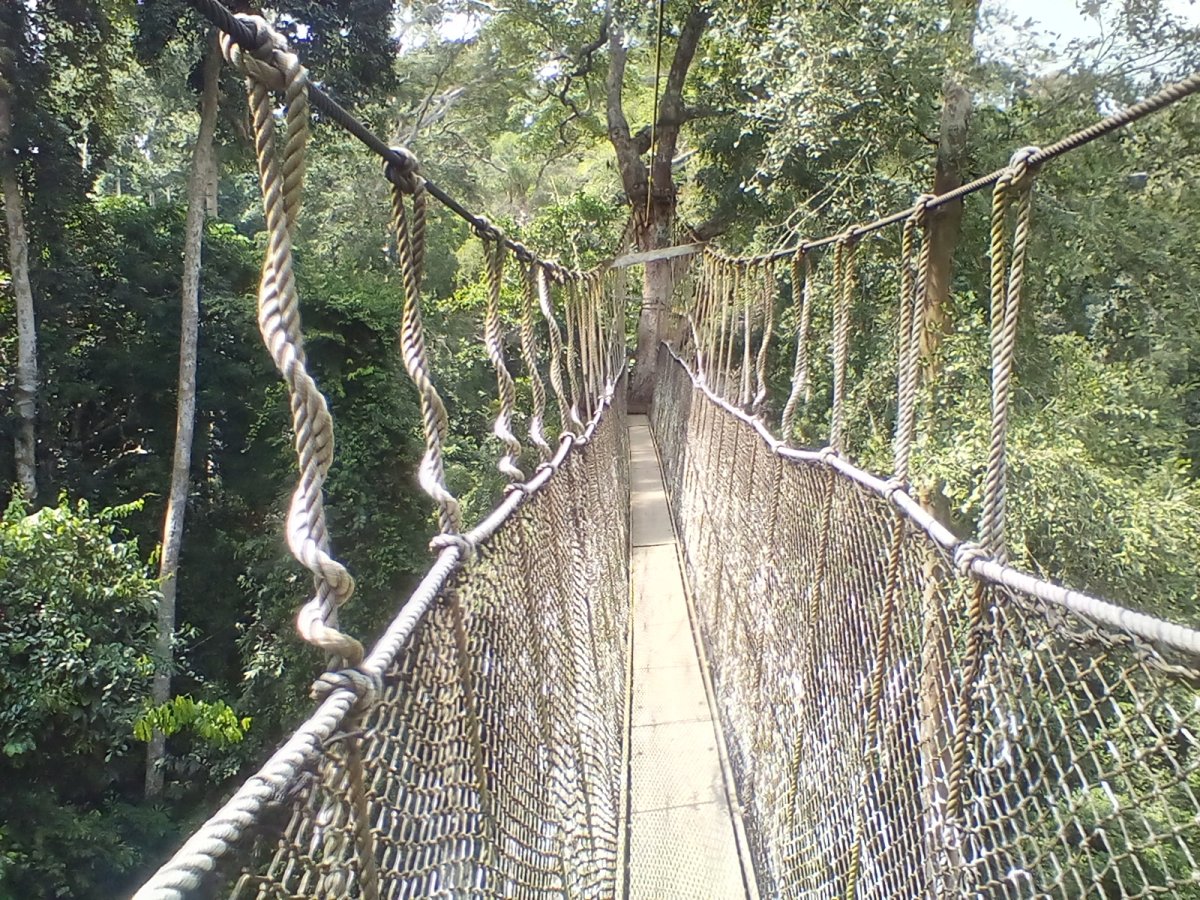 Kakum Nationalpark: Ein verstecktes Juwel in Ghana - R82 | Secret World Trip Planner