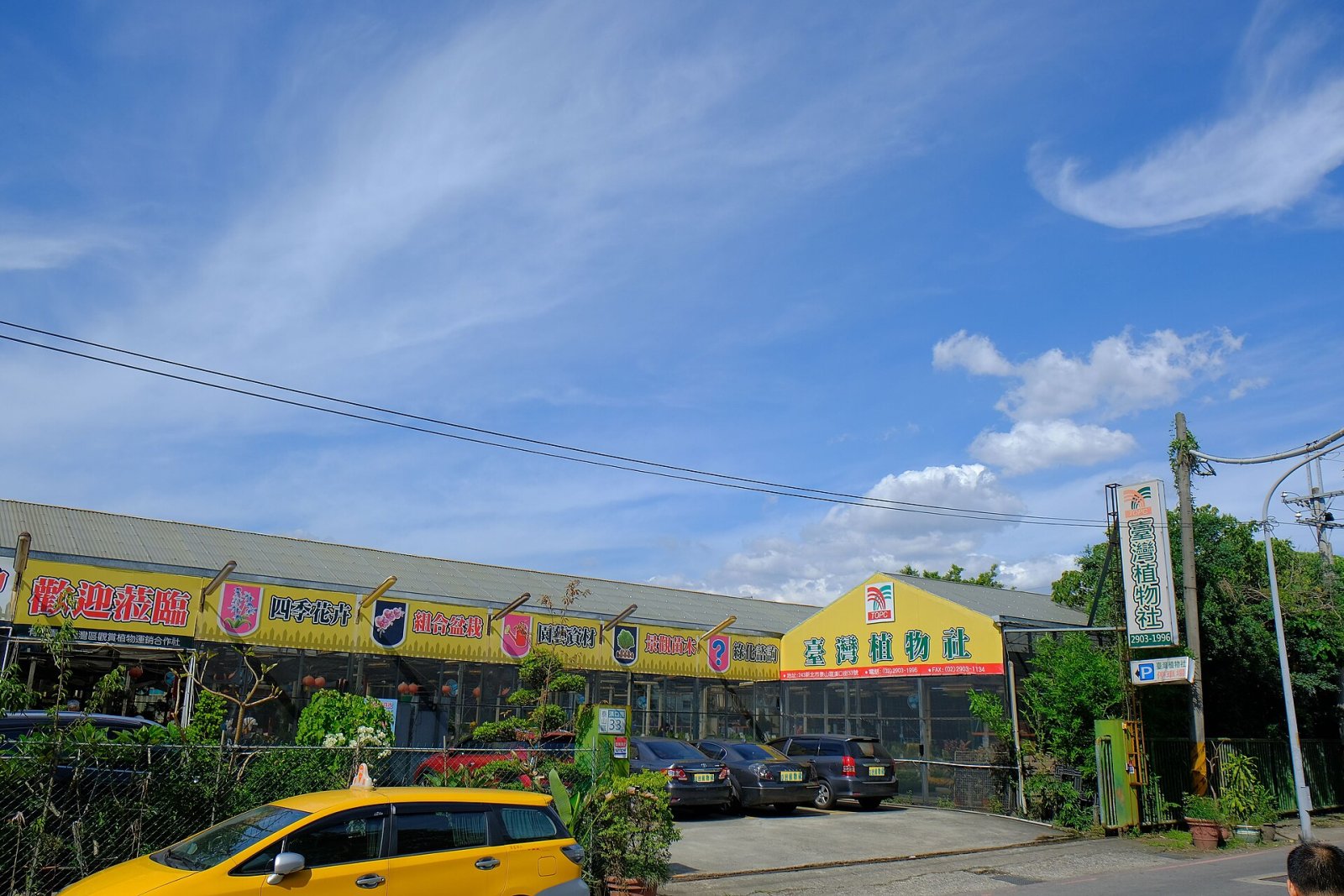 Scopri Taishan: Un angolo di natura a Taiwan - Hongtou Village | Secret World Trip Planner