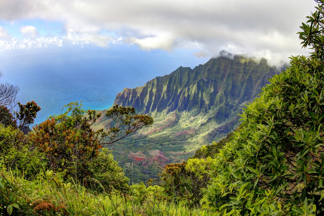 Descubra as Praias da Costa Nā Pali: Um Paraíso Natural - Contea di Kauai | Secret World Trip Planner