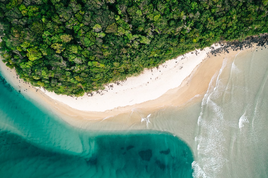 Scopri Kauapea Beach: La Gemma Nascosta di Kauai - Kauapea Beach | Secret World Trip Planner