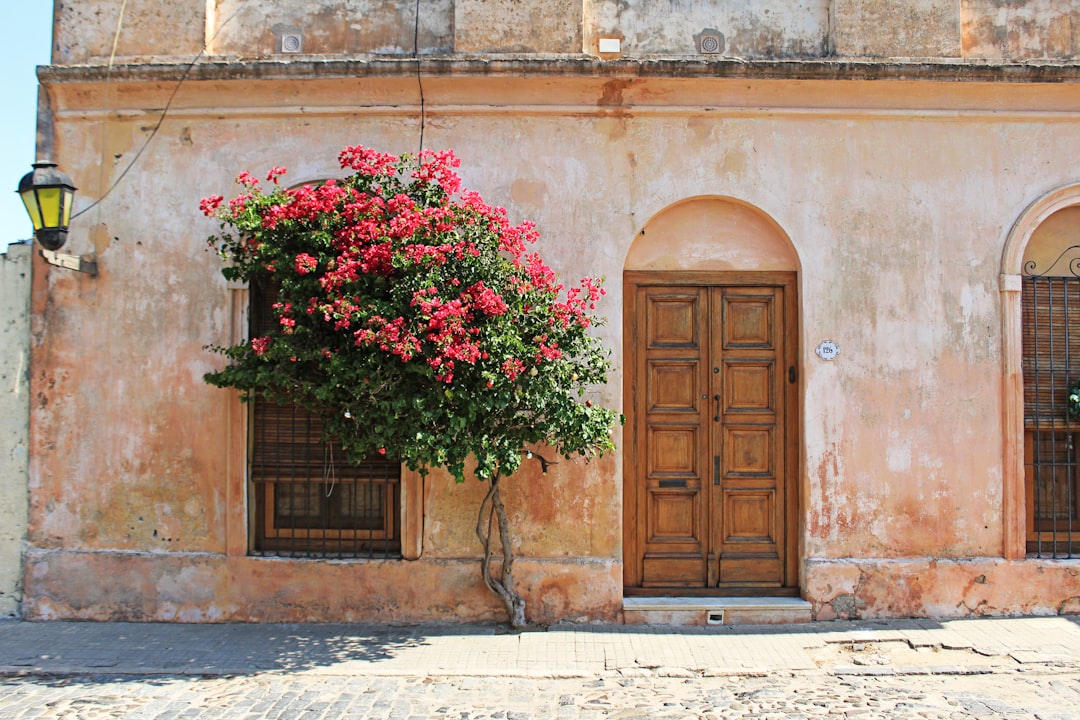 Discover Uruguay: A Gem of South America | Secret World Trip Planner