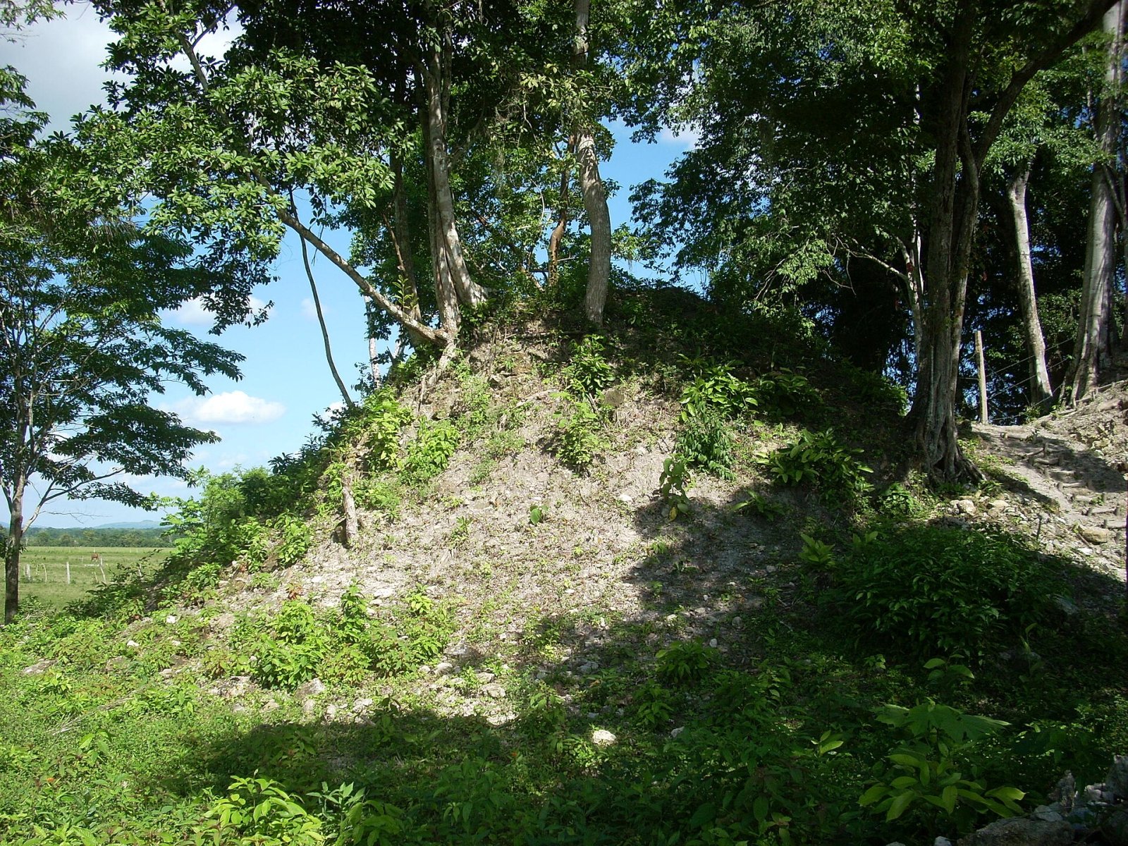 La Blanca : Un Voyage au Coeur de l'Histoire Maya - El Zapote | Secret World Trip Planner
