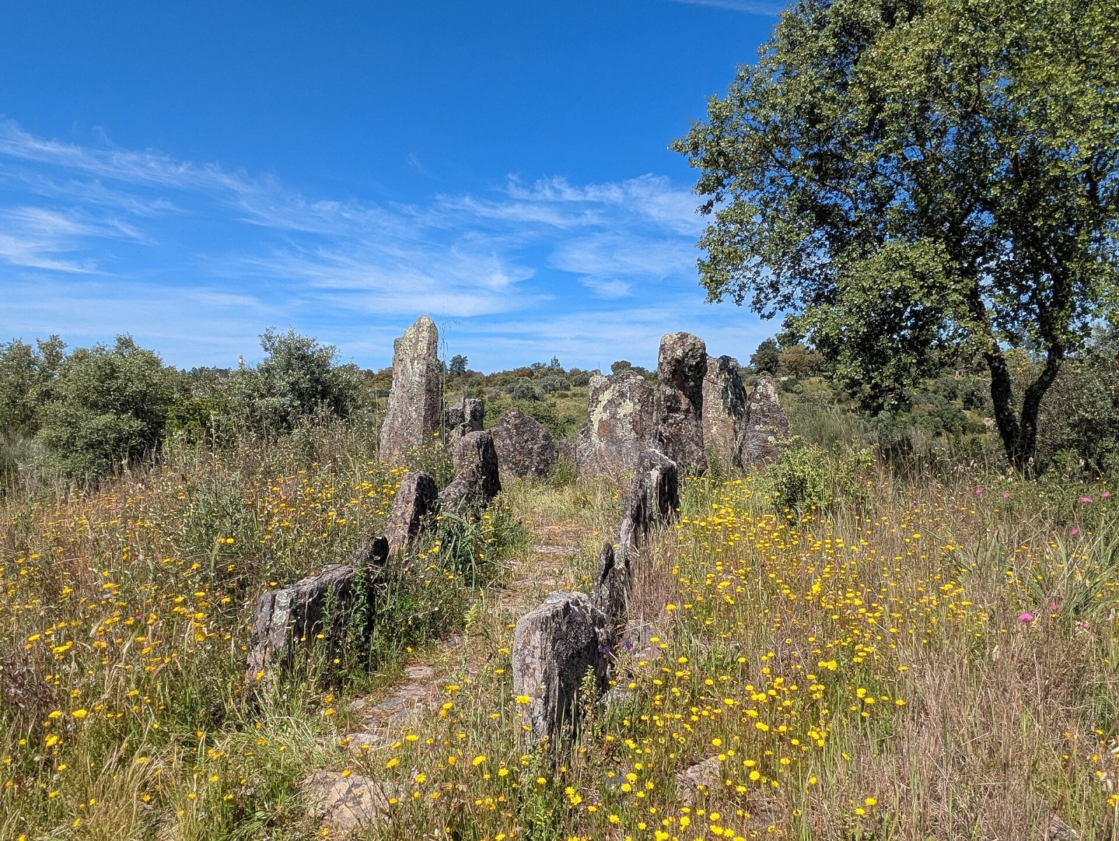 Anta da Foz do Rio Frio: un tesoro megalítico en Portugal - Ortiga | Secret World Trip Planner