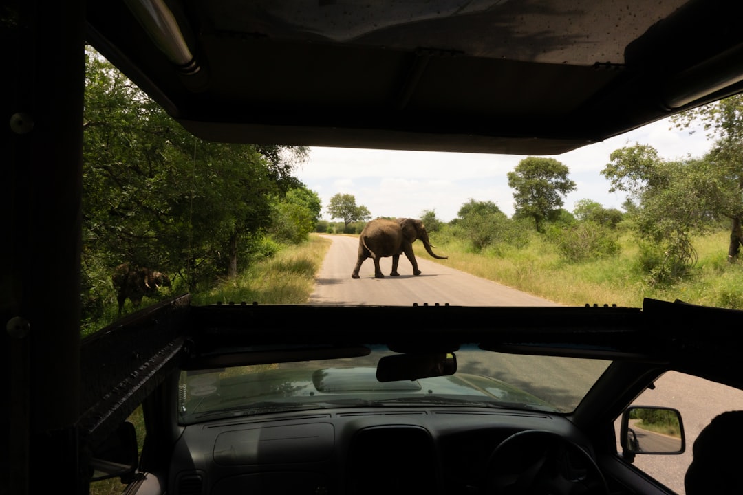Descubre la Biodiversidad en la Puerta Malelane del Kruger - R570 | Secret World Trip Planner