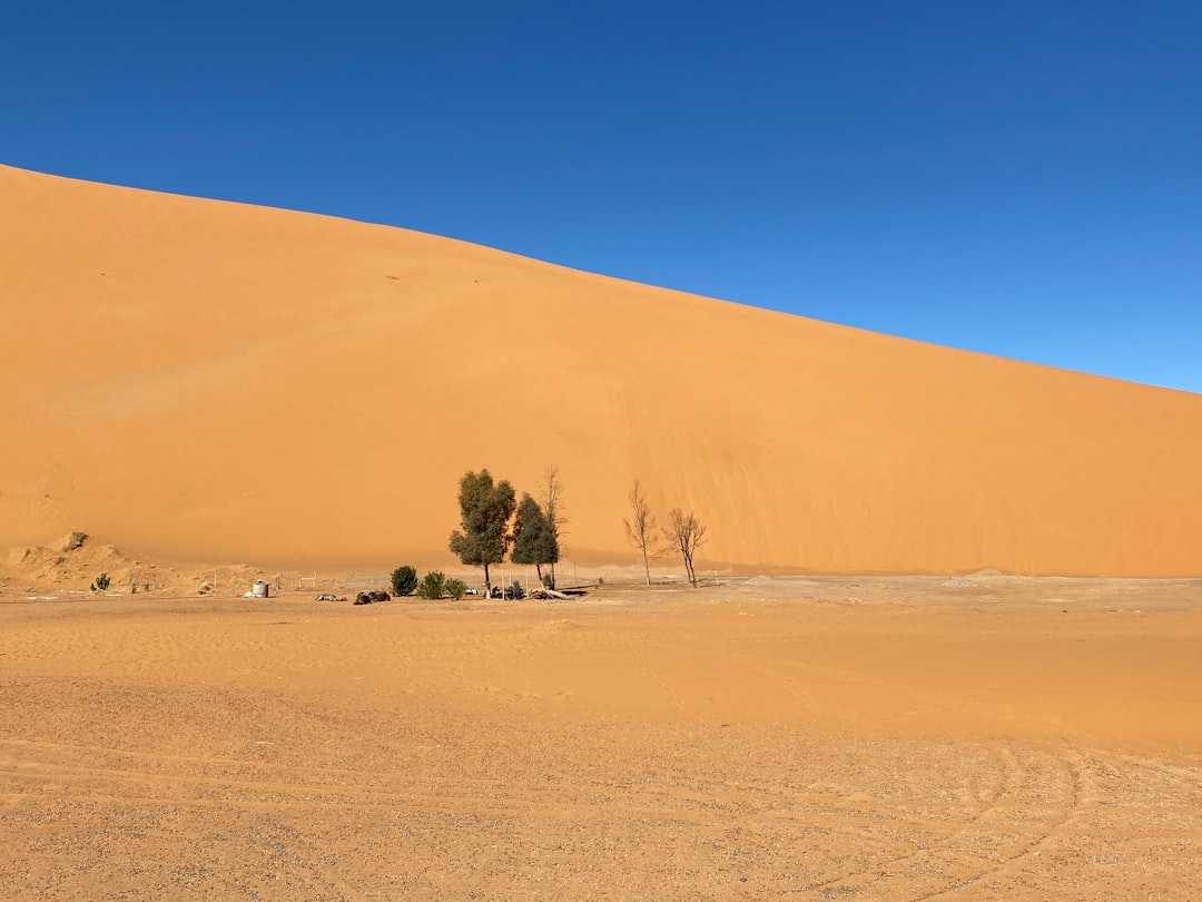 Dune 45 Sossusvlei: The Magic of the Namib Desert - Dune 45 Sossusvlei | Secret World Trip Planner