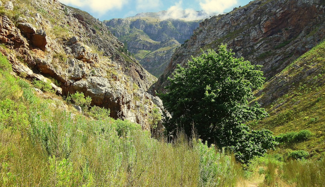 Unter dem Sternenhimmel der Sierra de San Pedro Mártir - Carretera Diaz Ordaz al Observatorio Km 84 | Secret World Trip Planner