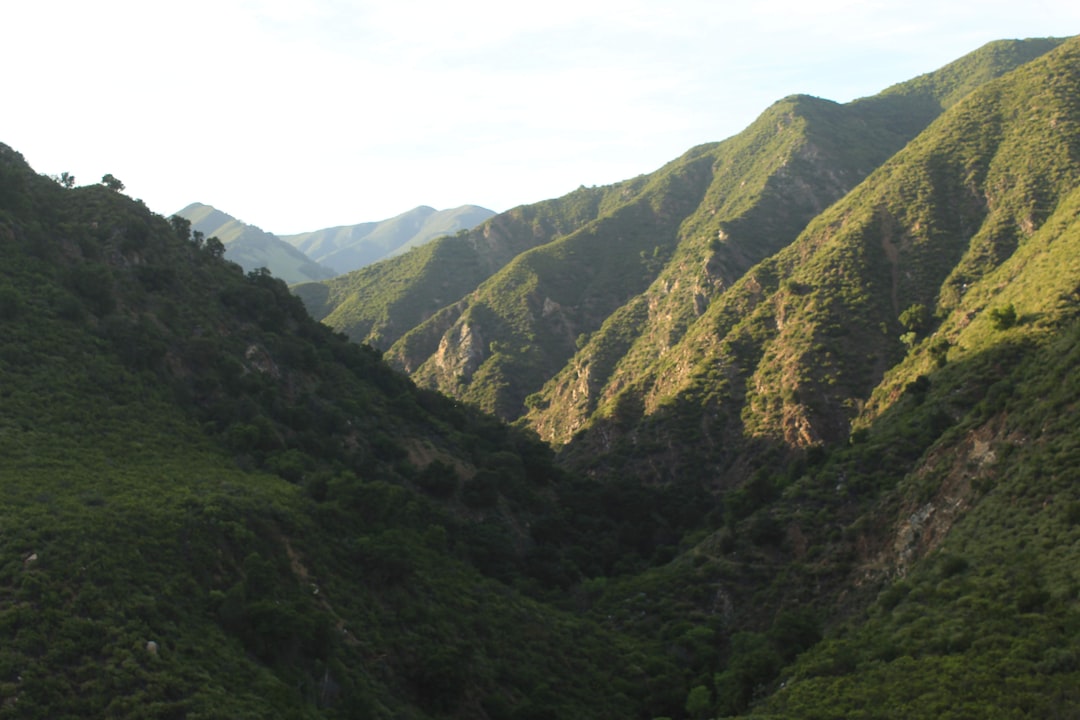 Sous le Ciel Étoilé de la Sierra de San Pedro Mártir - Carretera Diaz Ordaz al Observatorio Km 84 | Secret World Trip Planner