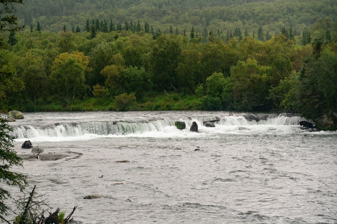 Chutes Fourgassier: Un Rincón Escondido en Guayana Francesa - JMFQ+VJJ | Secret World Trip Planner