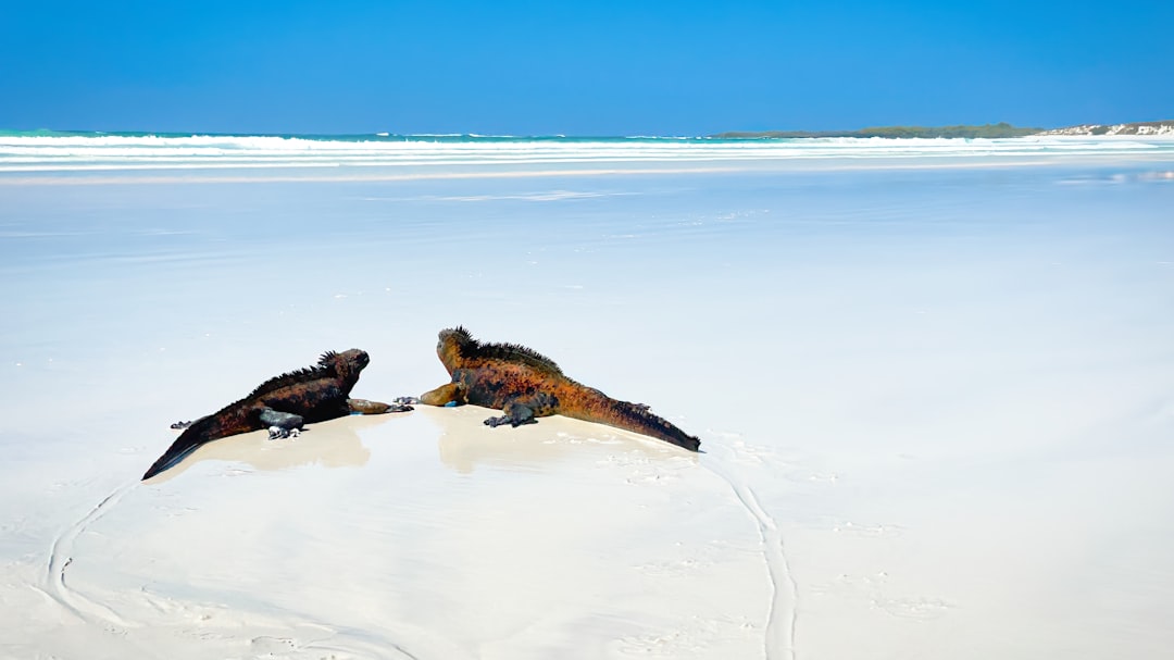 푸에르토 아요라의 놀라운 경관: 에콰도르의 보물 - Puerto Ayora | Secret World Trip Planner