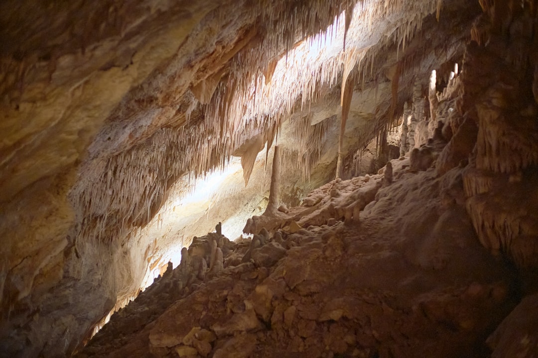 The Enchanting Drach Caves: An Underground Journey - 07680 Porto Cristo | Secret World Trip Planner