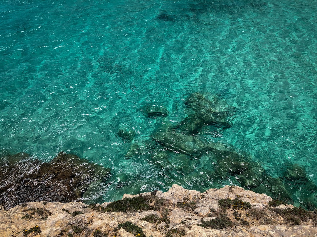 Die faszinierenden Cuevas del Drach: Eine unterirdische Reise - 07680 Porto Cristo | Secret World Trip Planner