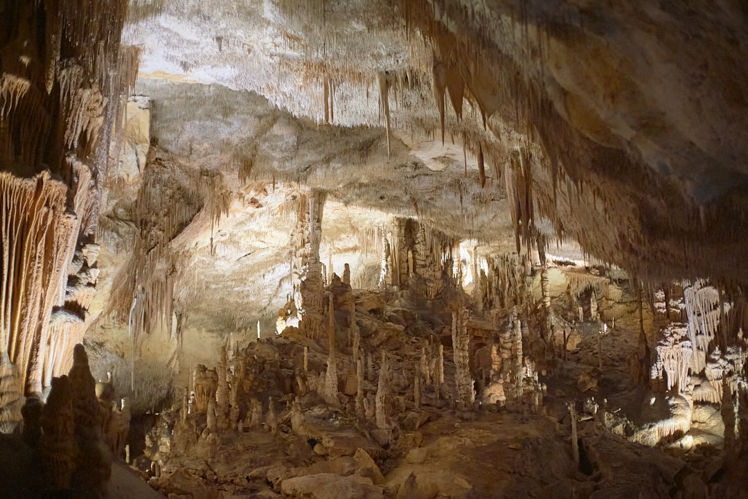 Les fascinantes Grottes du Drach : un voyage souterrain - 07680 Porto Cristo | Secret World Trip Planner