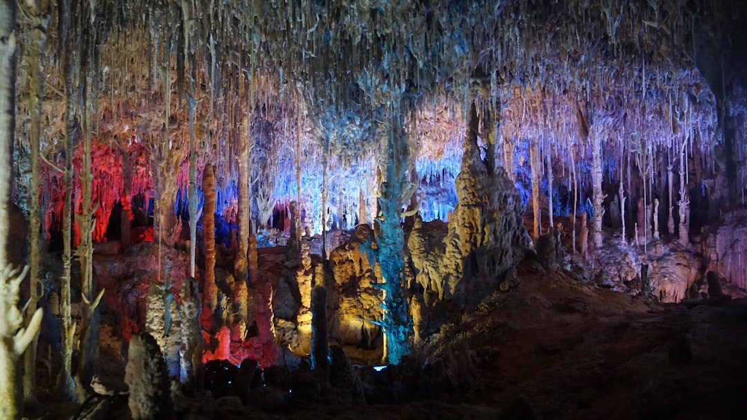 As encantadoras Cuevas del Drach: uma viagem subterrânea - 07680 Porto Cristo | Secret World Trip Planner